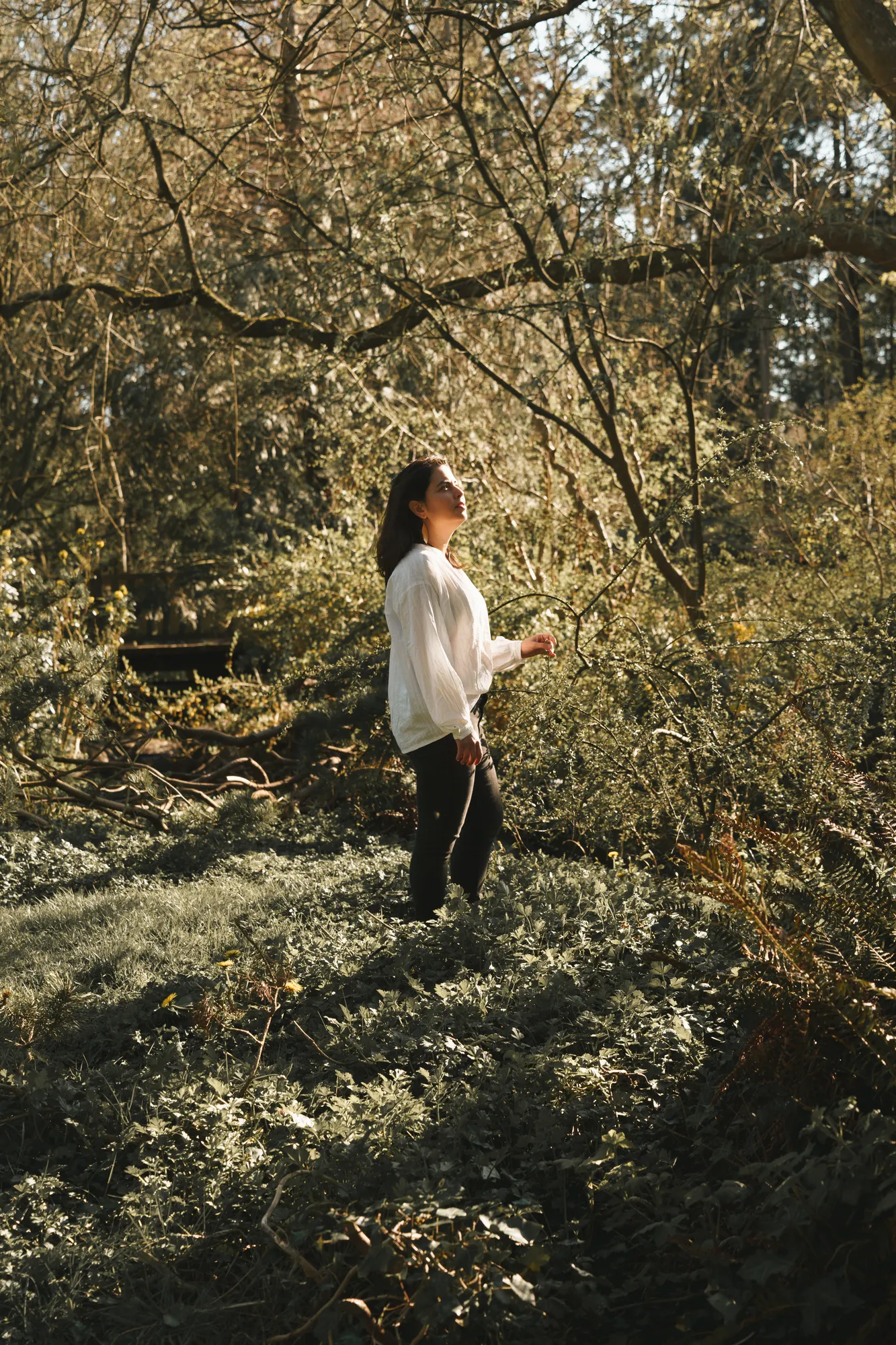 Ani standing in the golden afternoon light among the trees